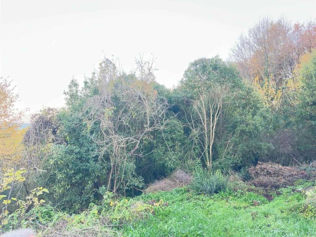 Terreno a Alvignano in Via Trainaro, 9 - Foto 5