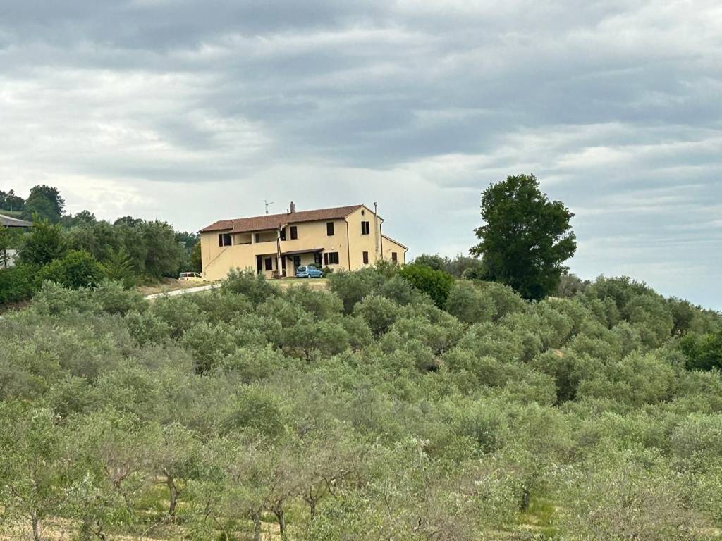 Appartamento a Cannara in Vocabolo San Nicola - Foto 4