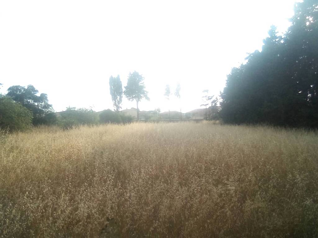 Terreno a Cabras in Via S. Pietro, 38, 09072 - Foto 2
