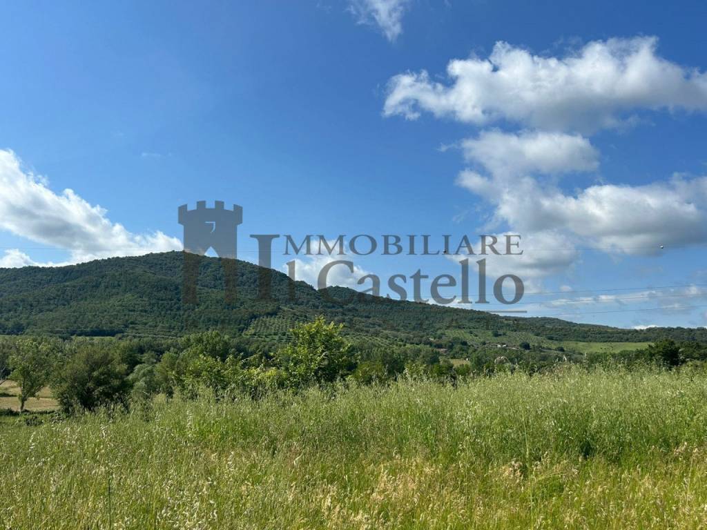 Rustico / casale a Panicale - Foto 5