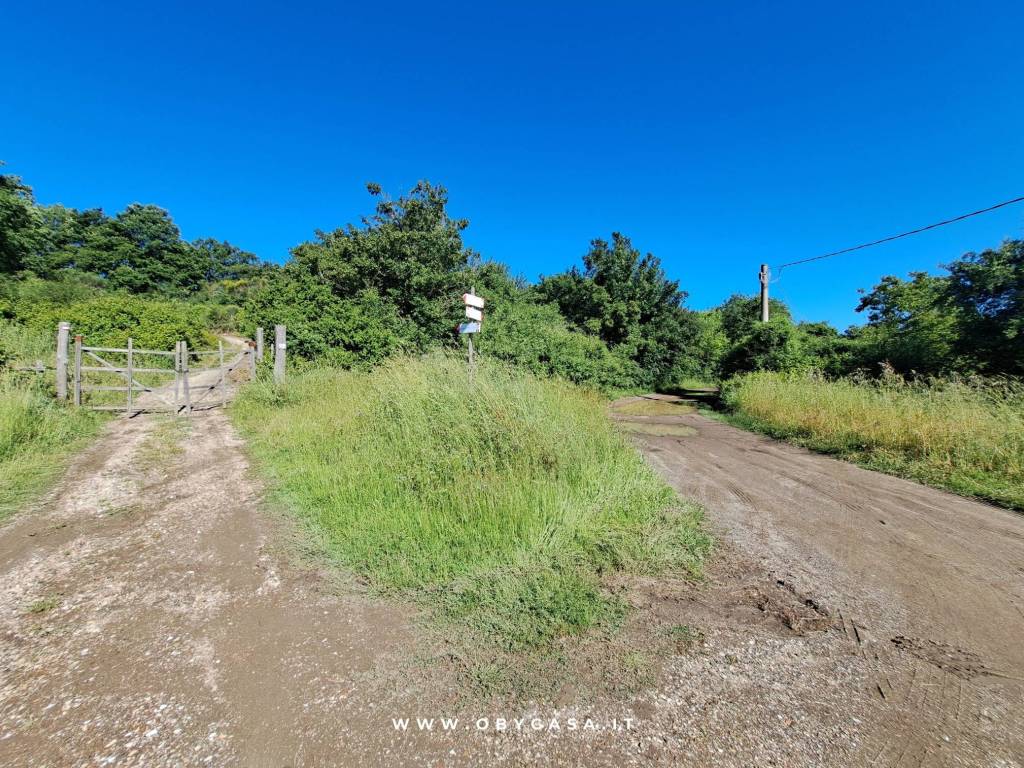 Terreno a Oriolo romano - Foto 2