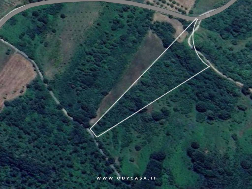 Terreno a Oriolo romano - Foto 3