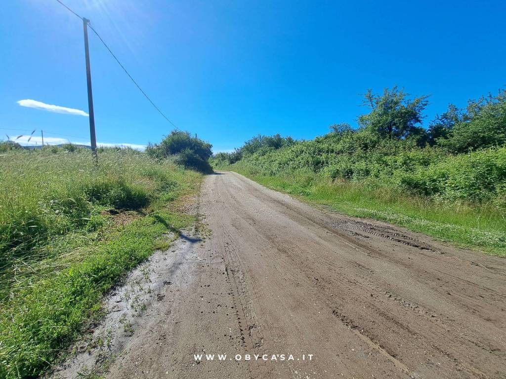 Terreno a Oriolo romano - Foto 4