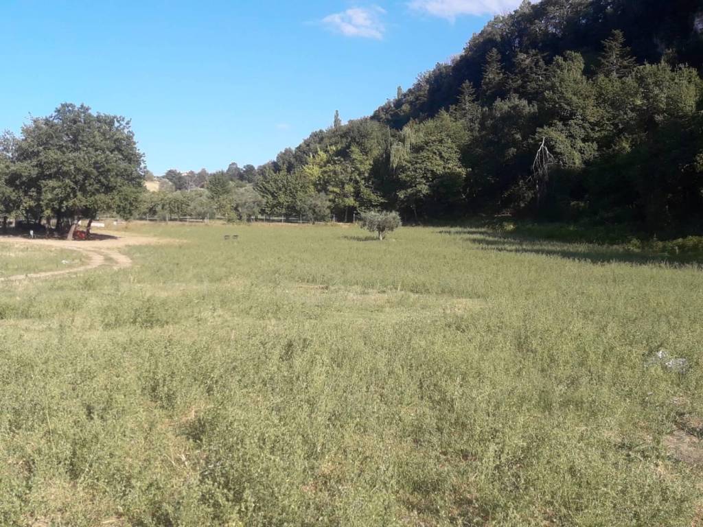 Terreno a Ascoli piceno in rosara - Foto 2