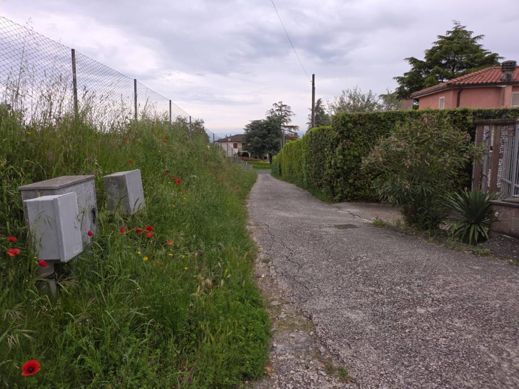 Terreno a Caprarola in Località San Rocco - Foto 3