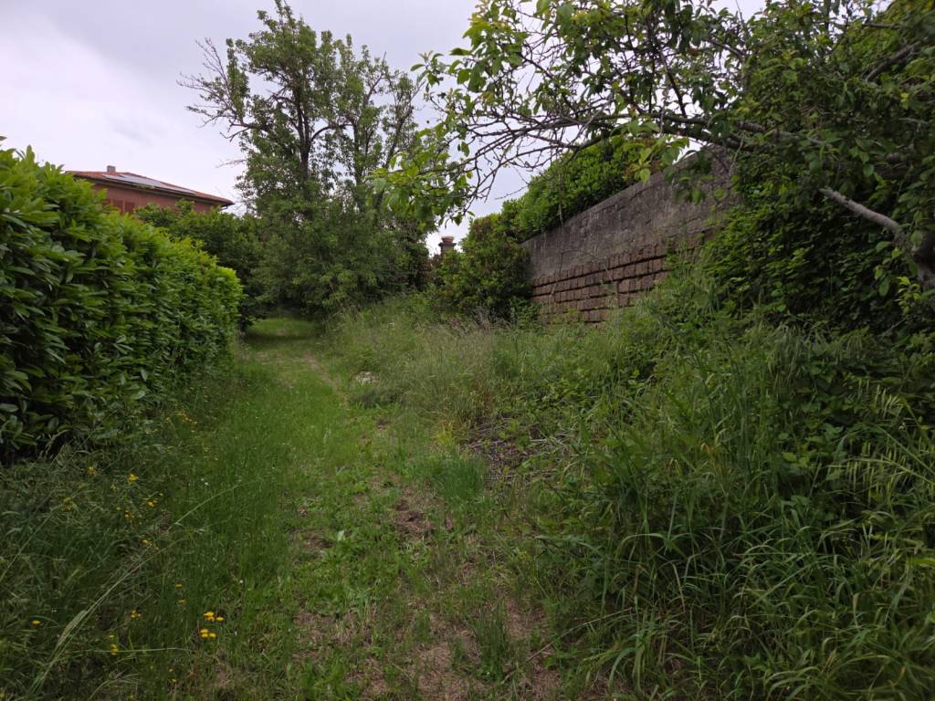 Terreno a Caprarola in Località San Rocco - Foto 4