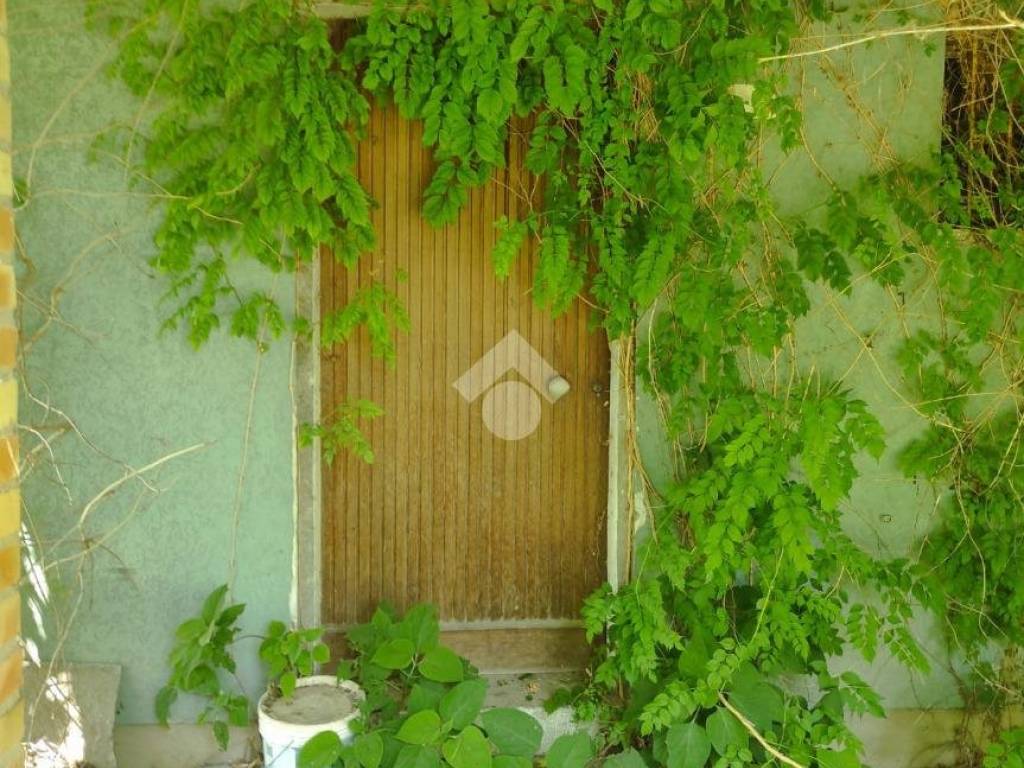 Rustico / casale a Arzergrande in Via Piave, 5 - Foto 2