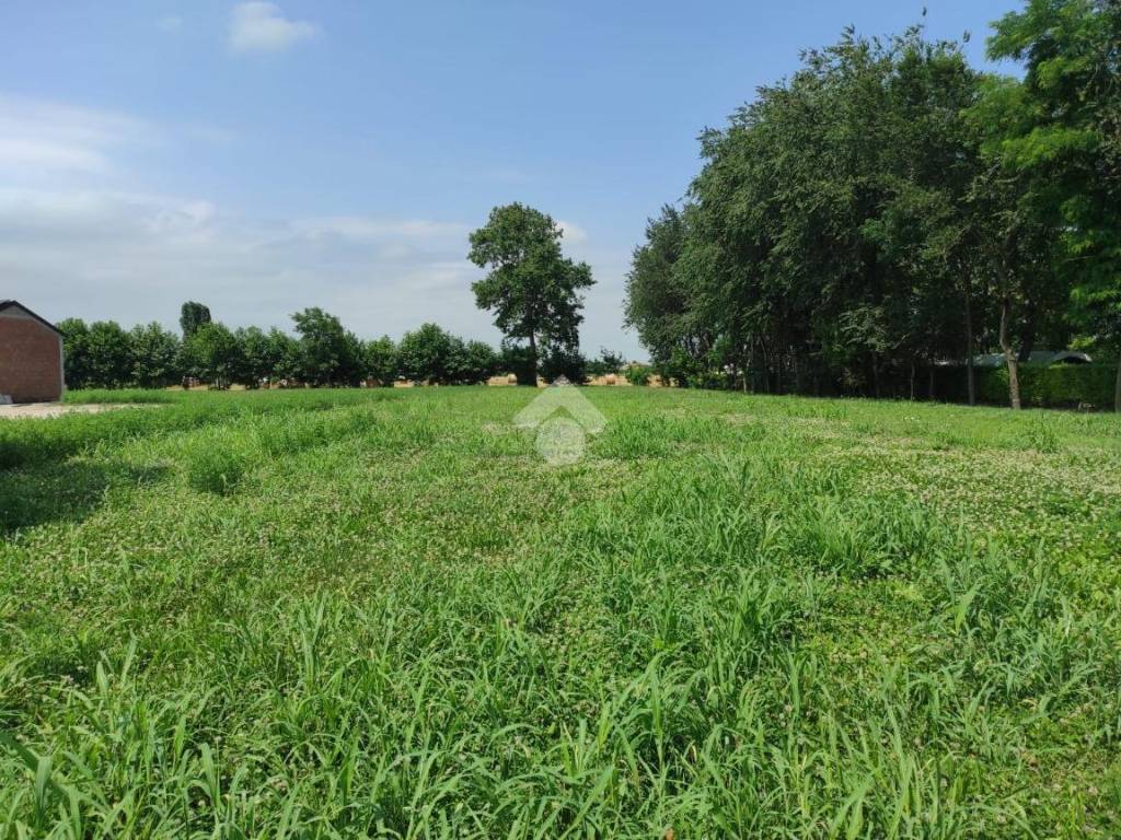 Rustico / casale a Arzergrande in Via Piave, 5 - Foto 5