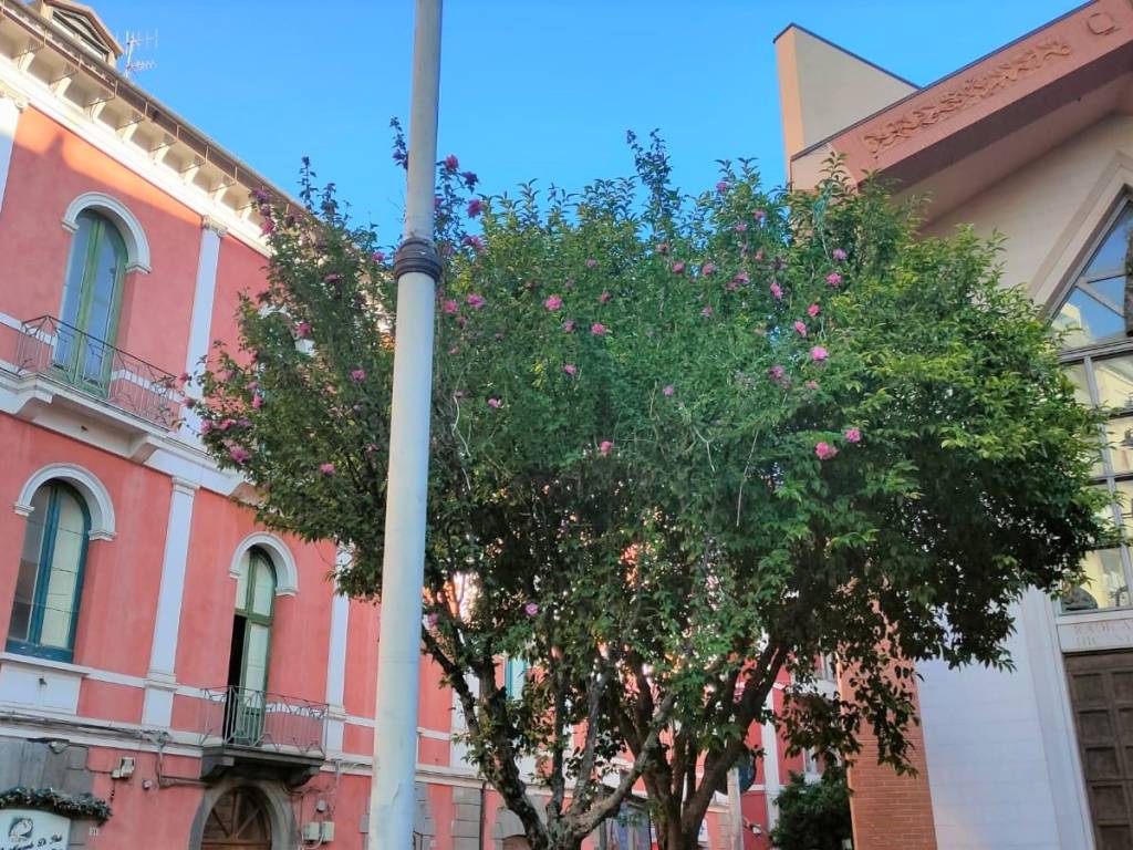 Appartamento a Salerno in Via Marino Paglia, 10 - Foto 2