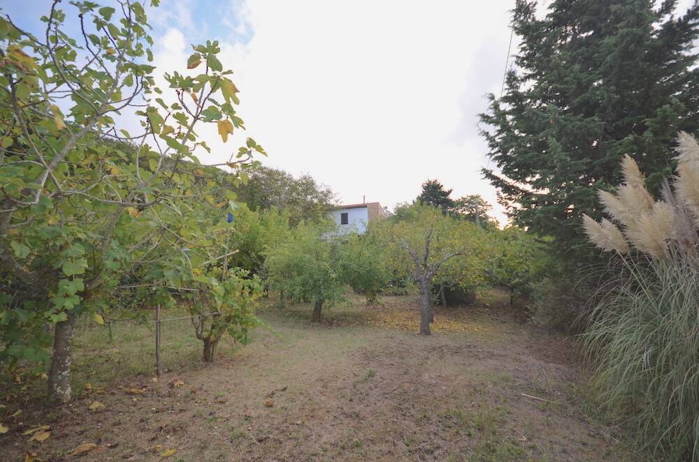 Rustico / casale a Rosignano marittimo - Foto 2