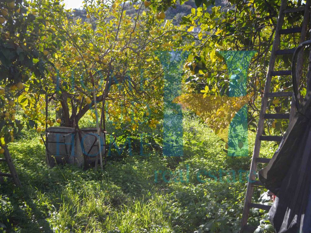 Terreno a Noto in Via Tommaso Fazello, 228 - Foto 4