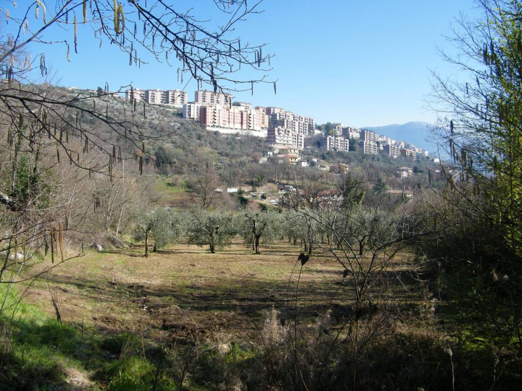 Terreno a Alatri in Via del Cosciano - Foto 2