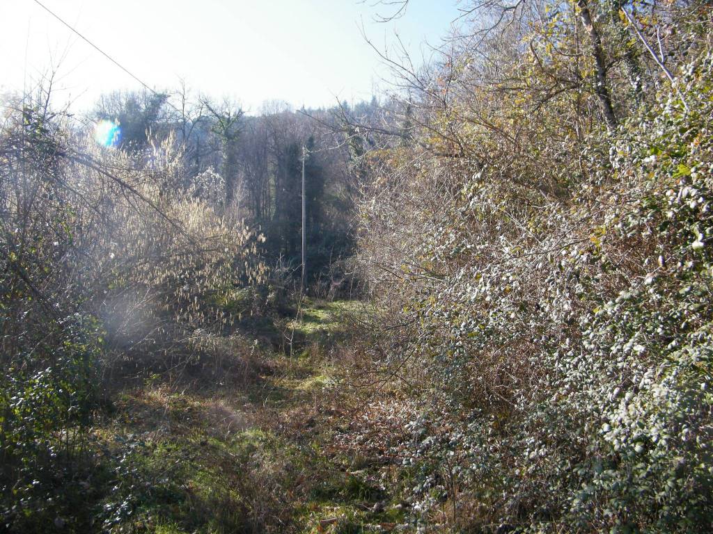 Terreno a Alatri in Via del Cosciano - Foto 5