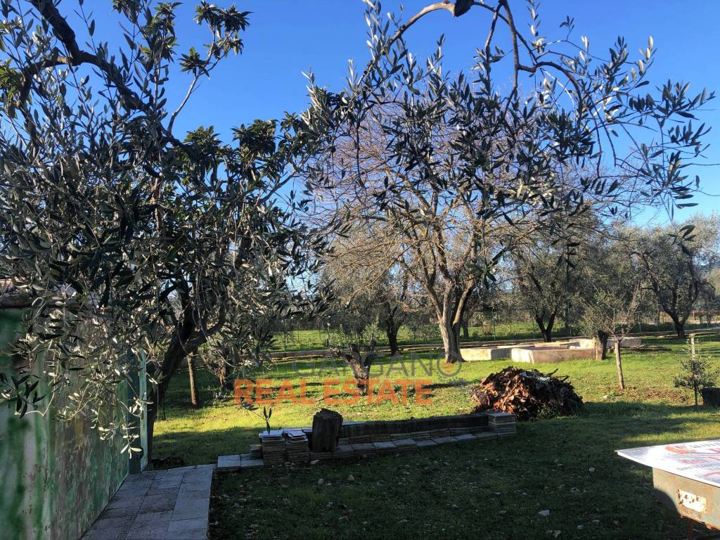 Terreno a Vieste in Località Monticello - Foto 5