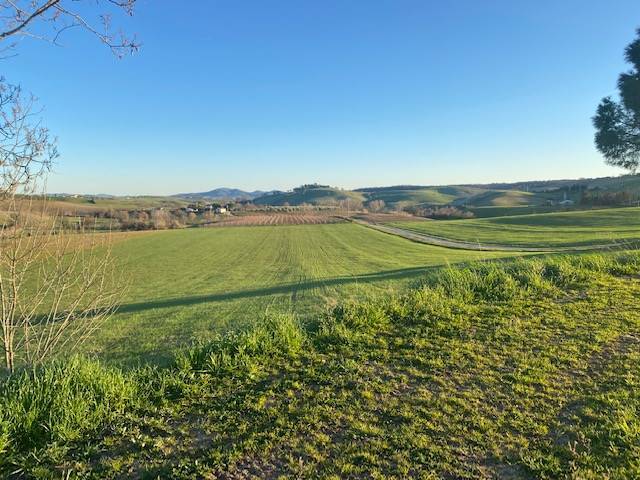 Appartamento a Magliano in toscana - Foto 3
