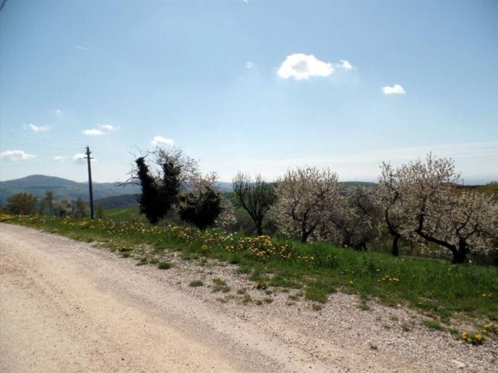 Terreno a Badia calavena in Via Roari - Foto 3