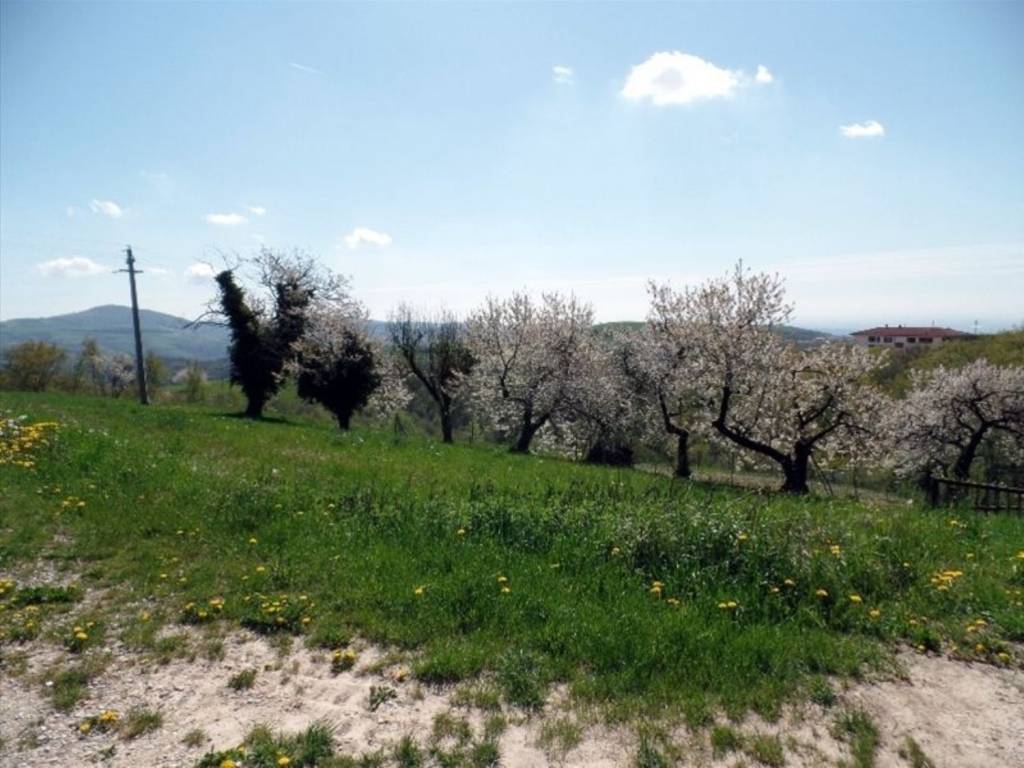 Terreno a Badia calavena in Via Roari - Foto 5
