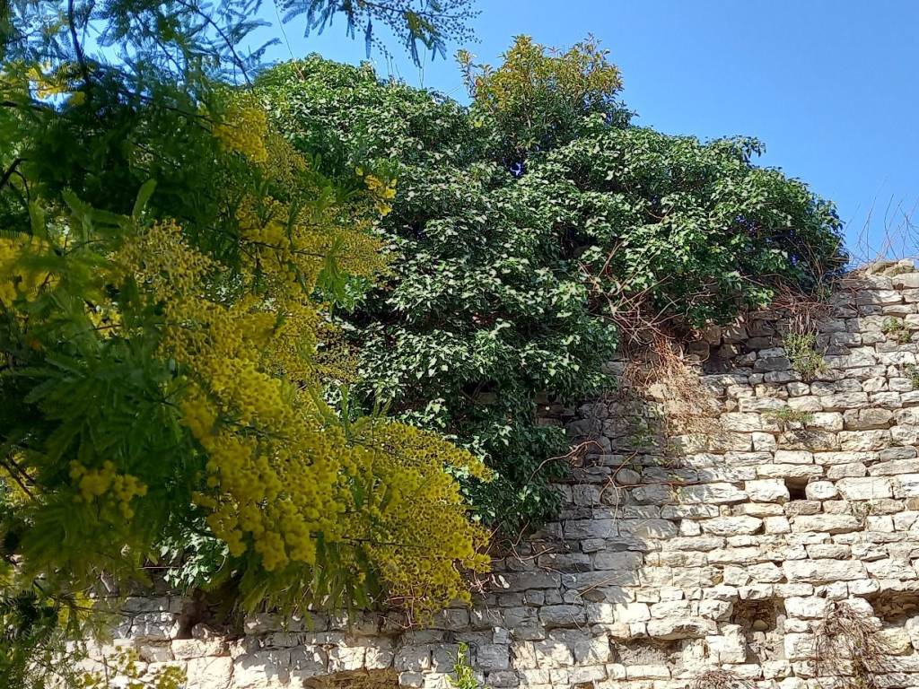 Immobile a Prato - Foto 3