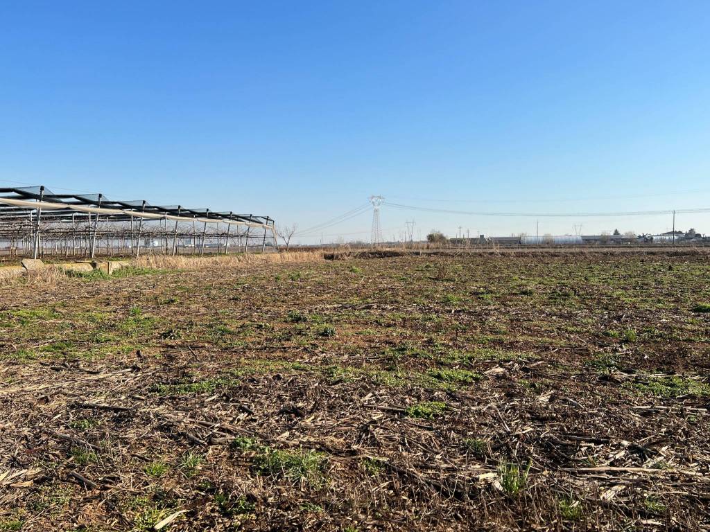 Terreno a Mozzecane in Via Duca degli Abruzzi - Foto 4