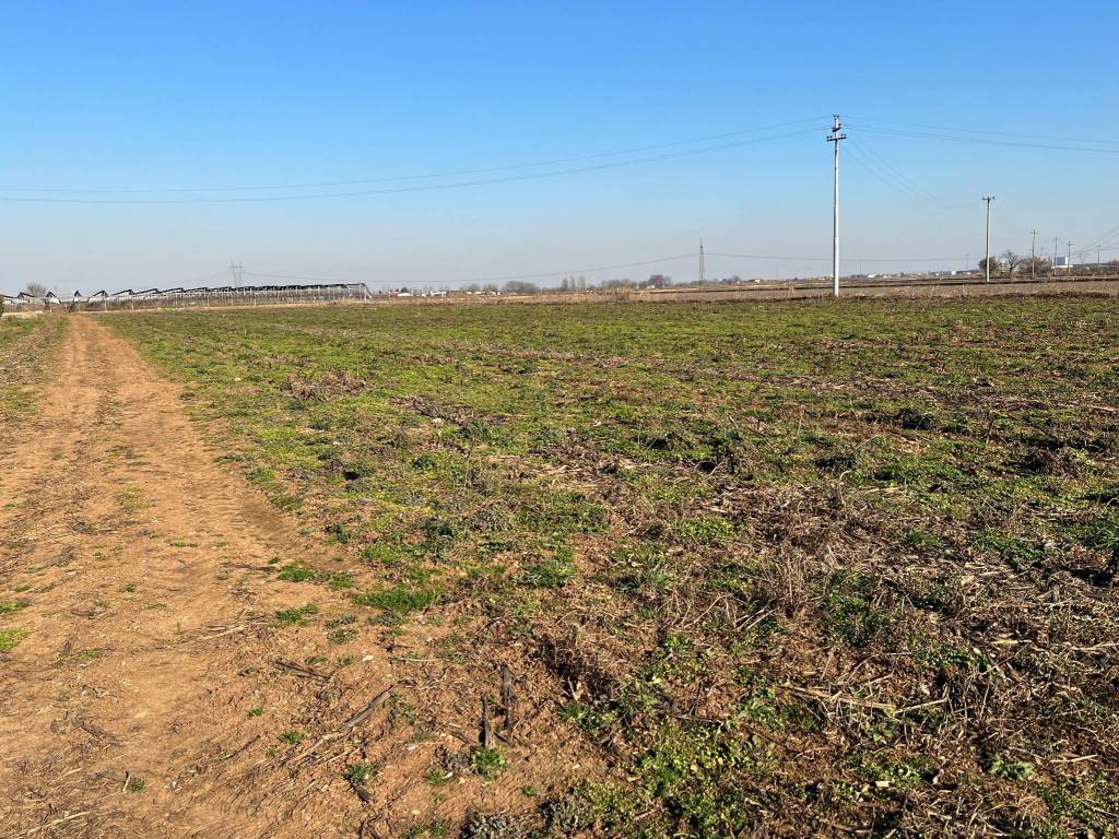 Terreno a Mozzecane in Via Duca degli Abruzzi - Foto 5