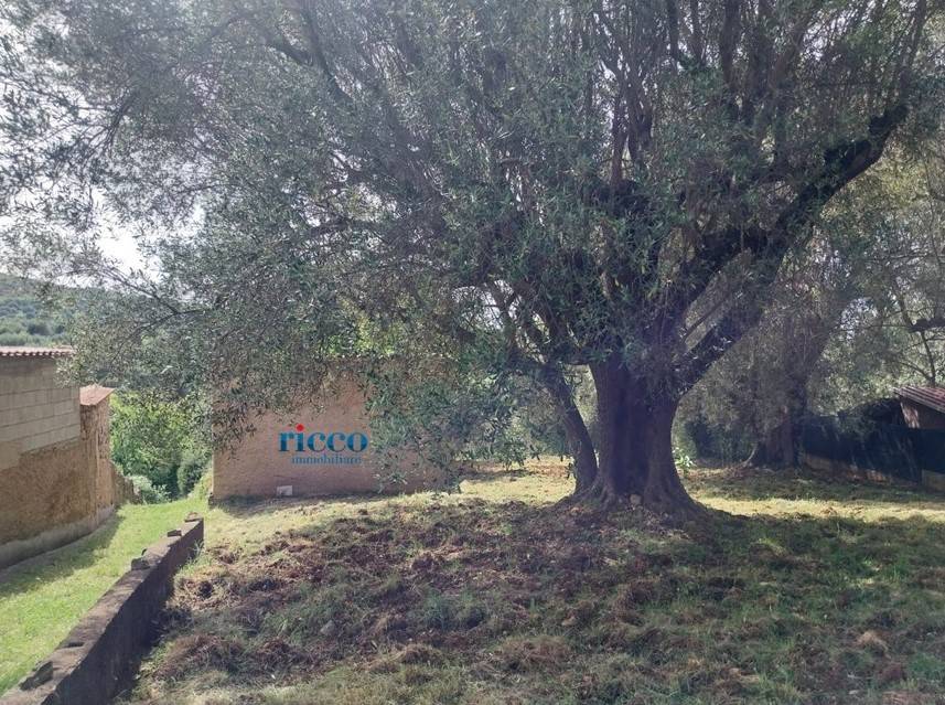 Terreno a Camerota in Via Infreschi - Foto 2