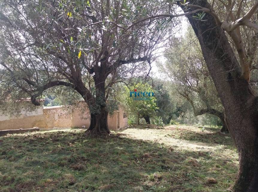 Terreno a Camerota in Via Infreschi - Foto 3