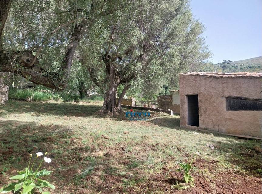 Terreno a Camerota in Via Infreschi - Foto 4