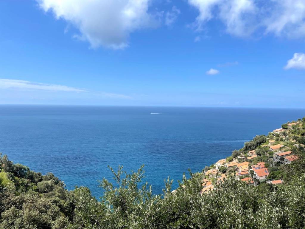 Rustico / casale a La spezia in Schiara - Foto 3