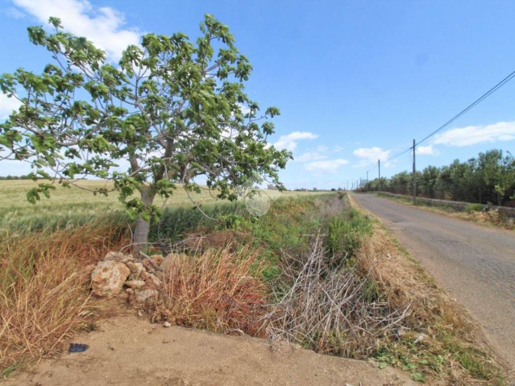 Terreno a Isola di capo rizzuto in Contrada Anastasi - Foto 5