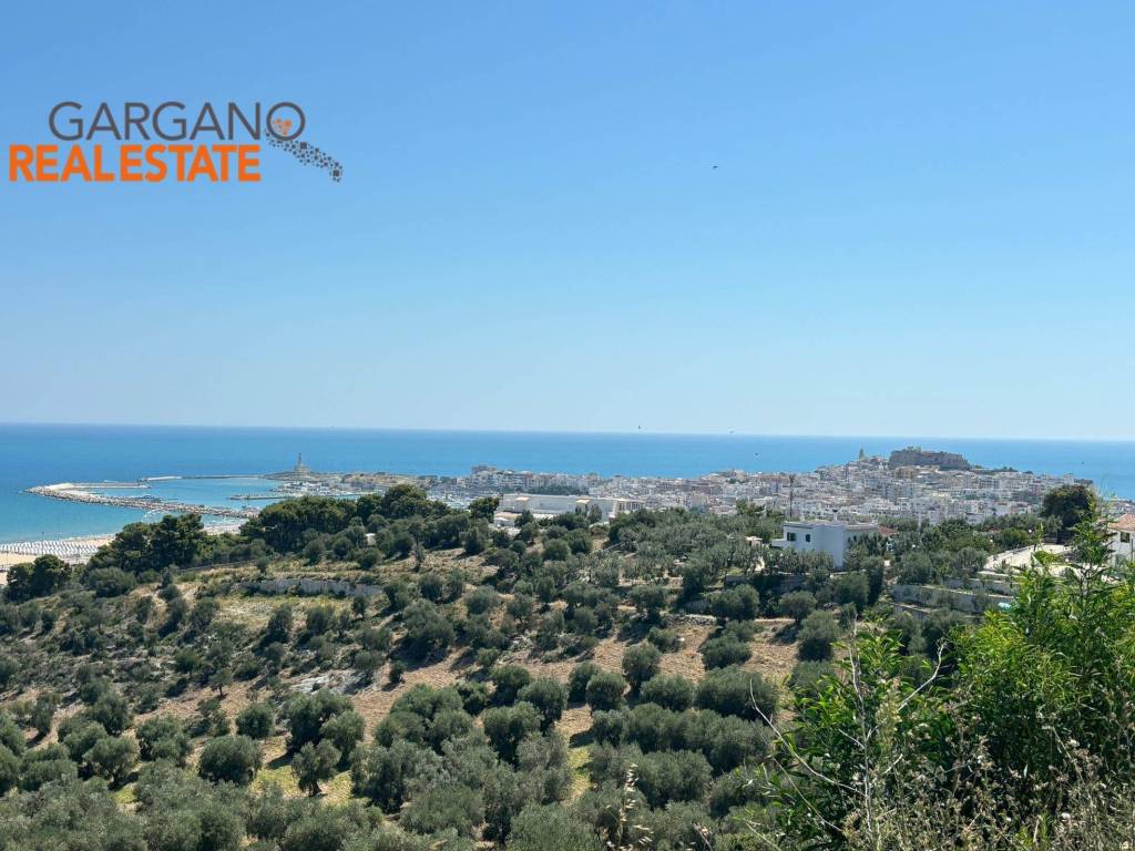 Palazzo / stabile a Vieste in Località Sant'Andrea - Foto 4