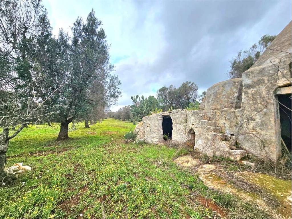 Rustico / casale a Carovigno - Foto 2