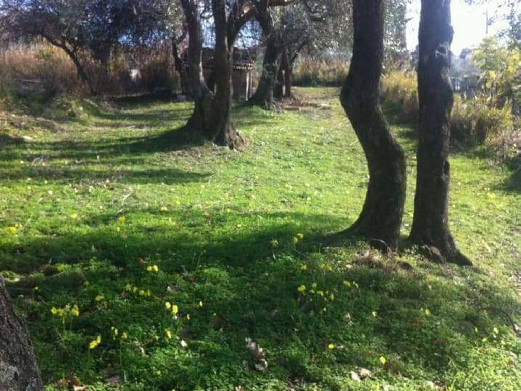 Terreno a Minturno in Tufo - Foto 5