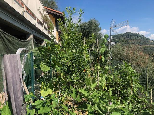 Villa a Ventimiglia in Vai degli Olandesi - Foto 5