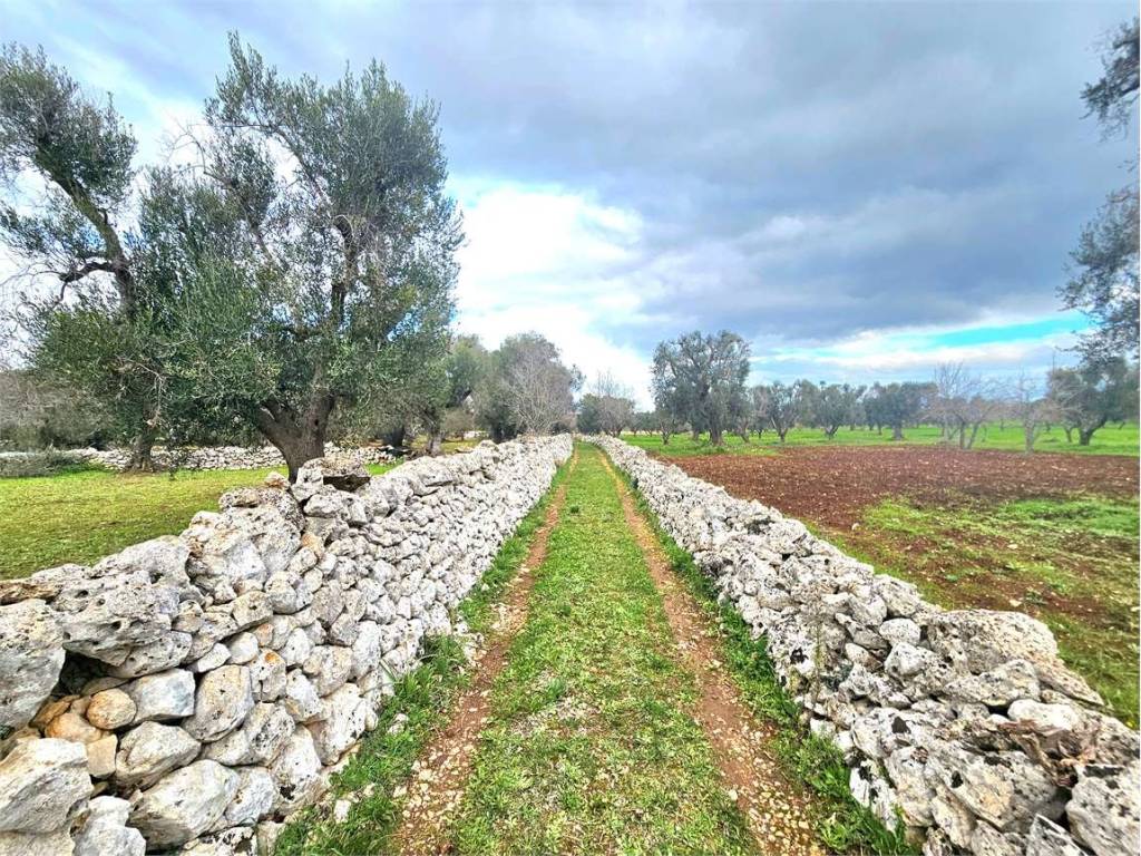 Terreno a Carovigno - Foto 2