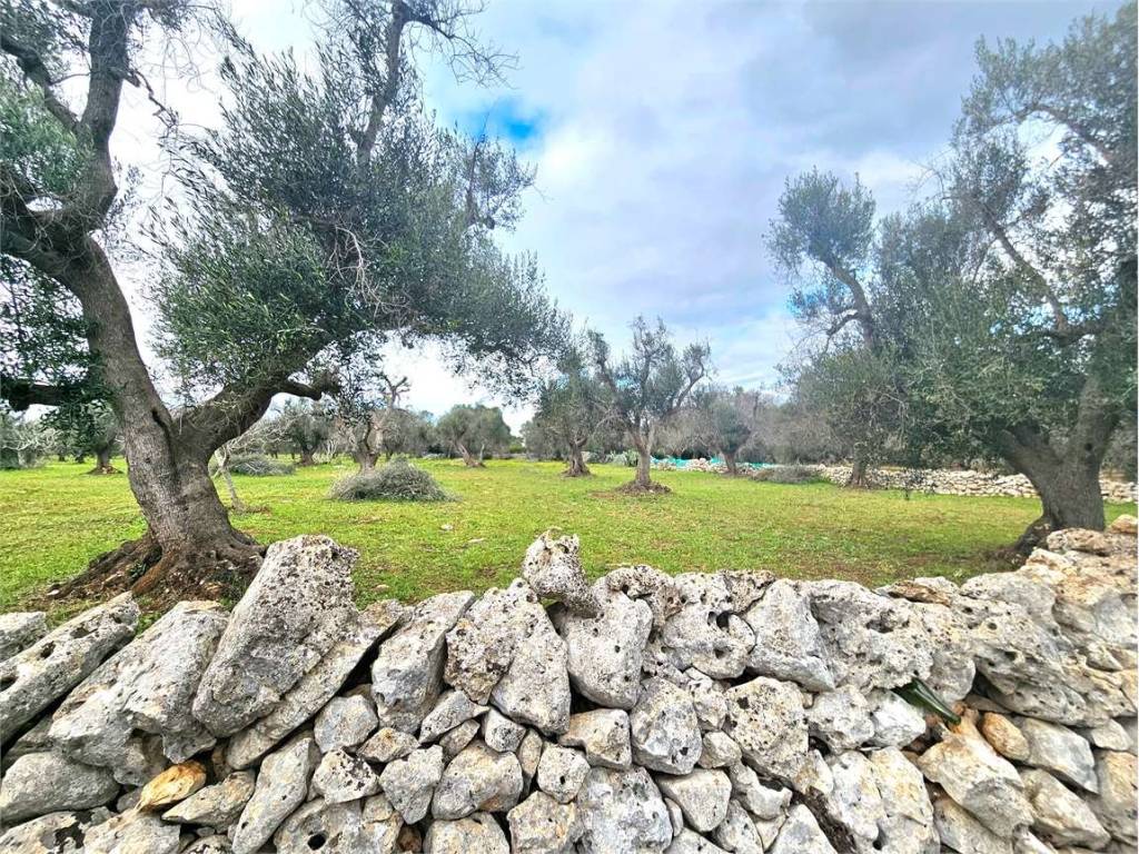 Terreno a Carovigno - Foto 3