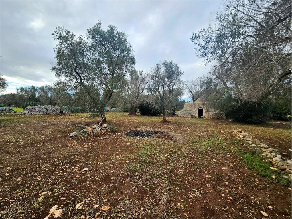 Terreno a Carovigno - Foto 4