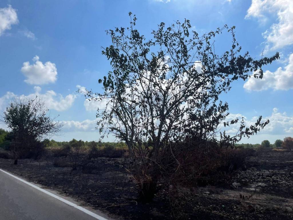 Terreno a Lecce in Strada Provinciale Lecce Lizzanello - Foto 4