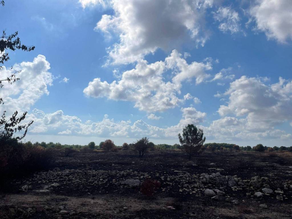 Terreno a Lecce in Strada Provinciale Lecce Lizzanello - Foto 5