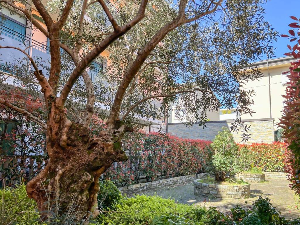 Appartamento a Cantù in Via Torre, 9 - Foto 3