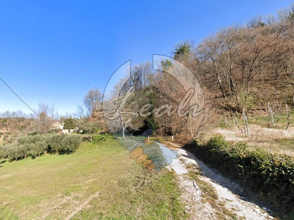 Terreno a Montegiorgio in CONTRADA LAGUA, 22 - Foto 2