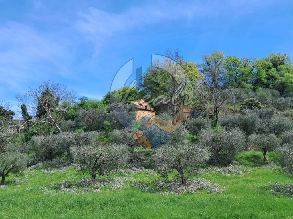 Terreno a Montegiorgio in CONTRADA LAGUA, 22 - Foto 3