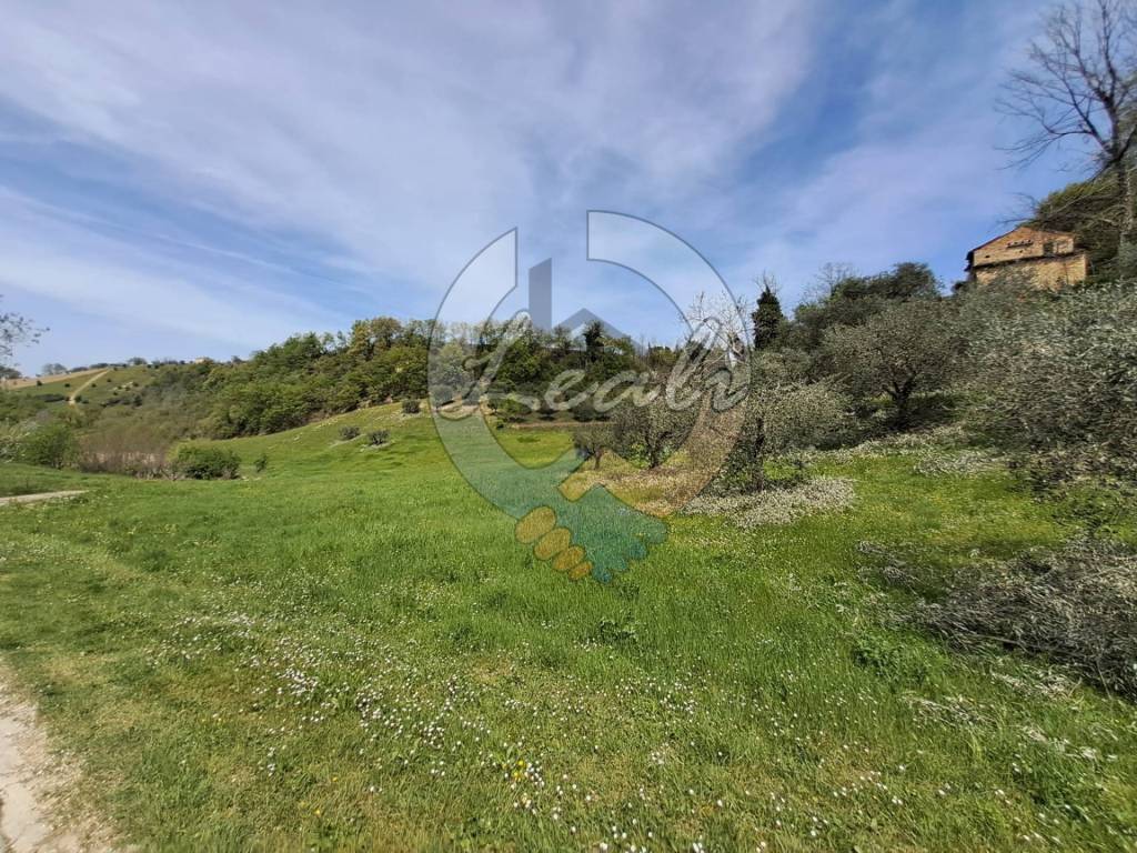 Terreno a Montegiorgio in CONTRADA LAGUA, 22 - Foto 4