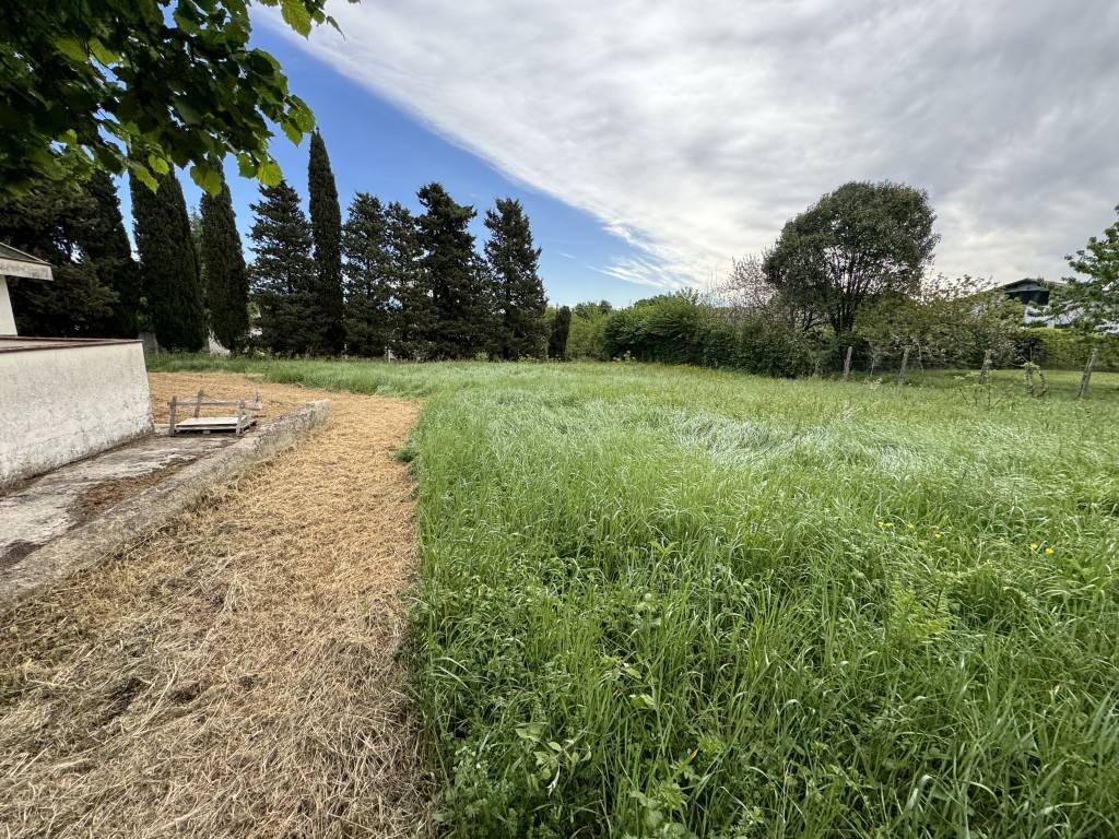 Terreno a Patrica - Foto 3