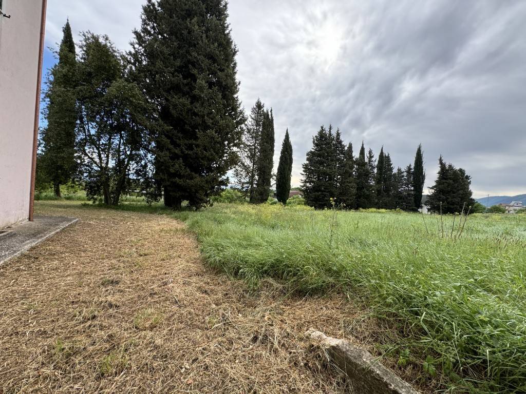 Terreno a Patrica - Foto 4