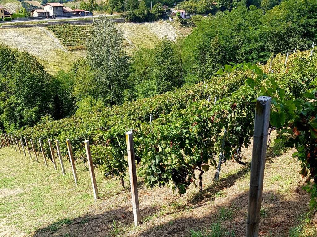 Terreno a Mongardino in Via Sant'Antonio - Foto 5