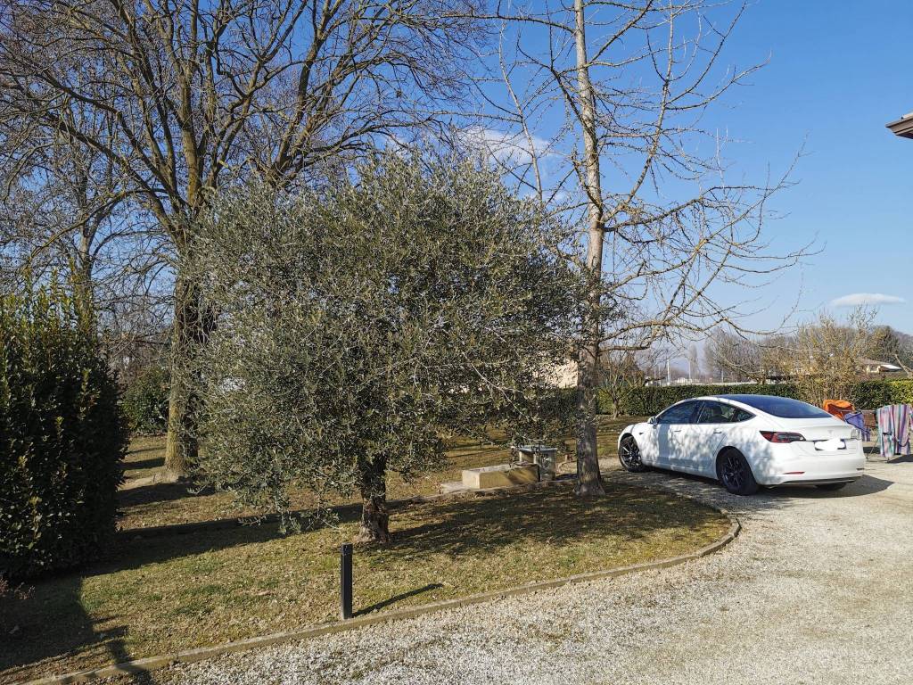 Terreno a Santa giustina in colle in Via Albere - Foto 5