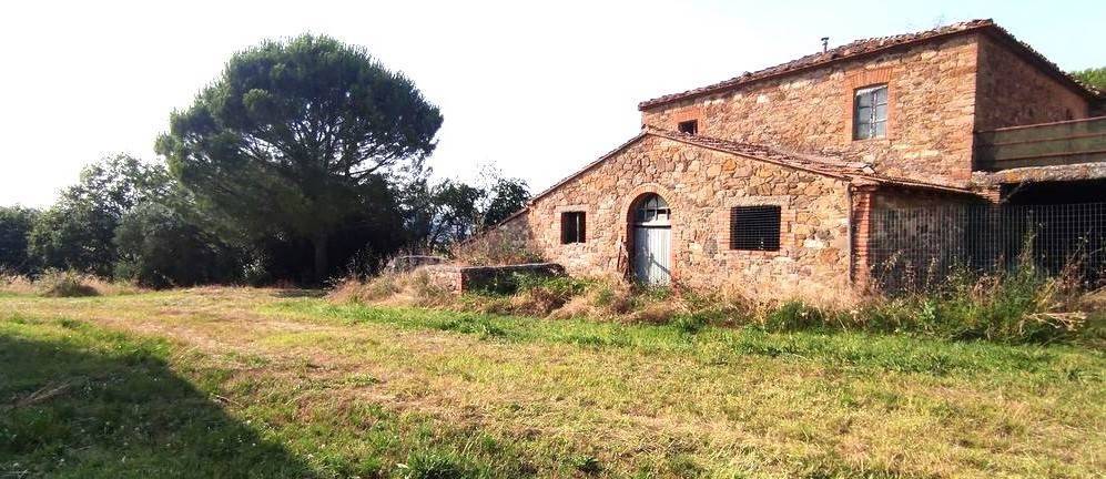 Rustico / casale a Cinigiano in ZONA BORGO SANTA RITA COMUNE CINIGIANO - Foto 3