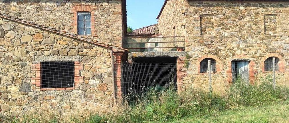 Rustico / casale a Cinigiano in ZONA BORGO SANTA RITA COMUNE CINIGIANO - Foto 5