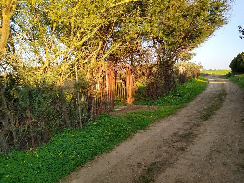 Terreno a Sestu in Località Pintoreddu - Foto 2
