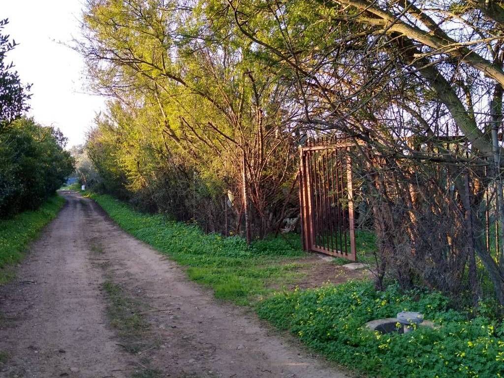 Terreno a Sestu in Località Pintoreddu - Foto 3
